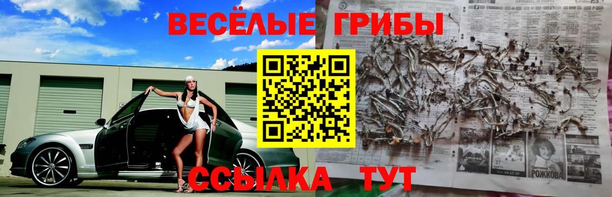 Павлово  Галлюциногенные грибы Psilocybine cubensis  Вход с VPN  Галлюциногенные грибы прущие грибы 