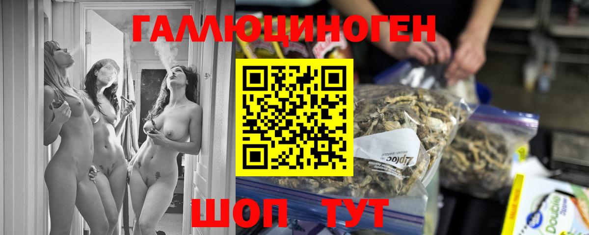 Галлюциногенные грибы Psilocybine cubensis Павлово